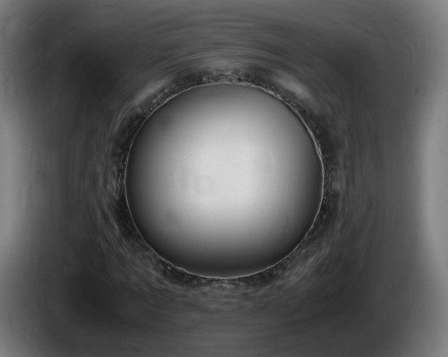 X0000086010869200703301008