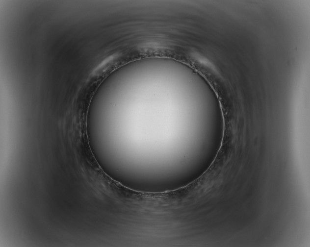 X0000086010870200703301008