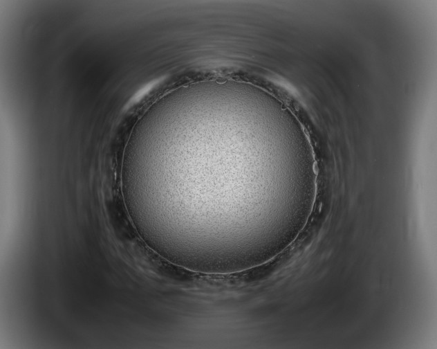 X0000086010871200703301008