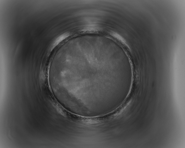 X0000086010874200703301008