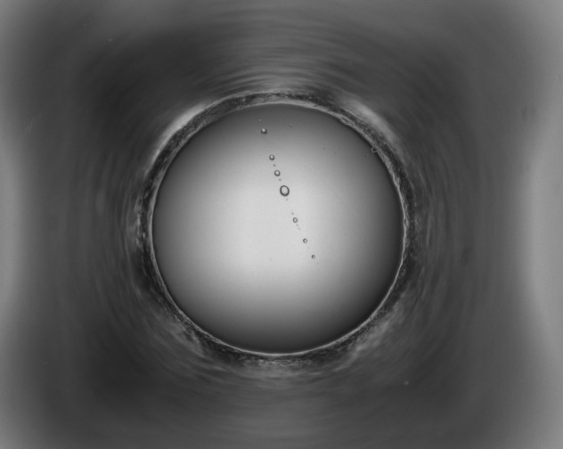 X0000086010875200703301008