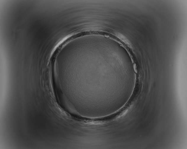 X0000086010877200703301008