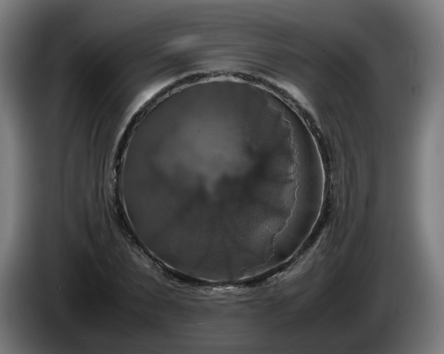 X0000086010879200703301008