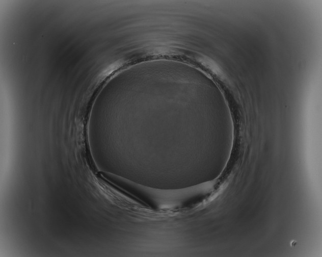 X0000086010881200703301008