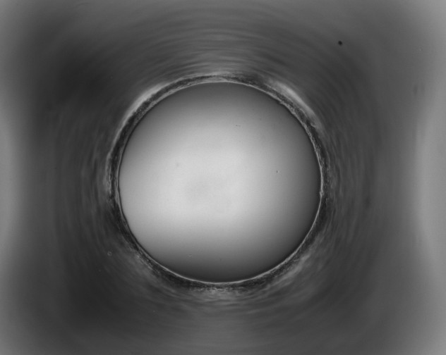 X0000086010883200703301008