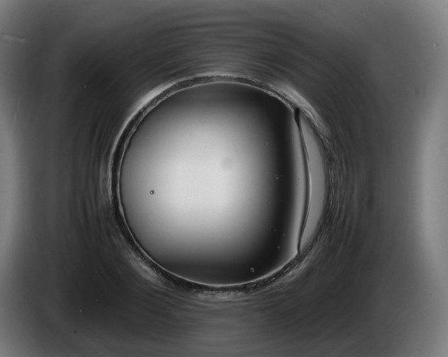 X0000086010884200703301008