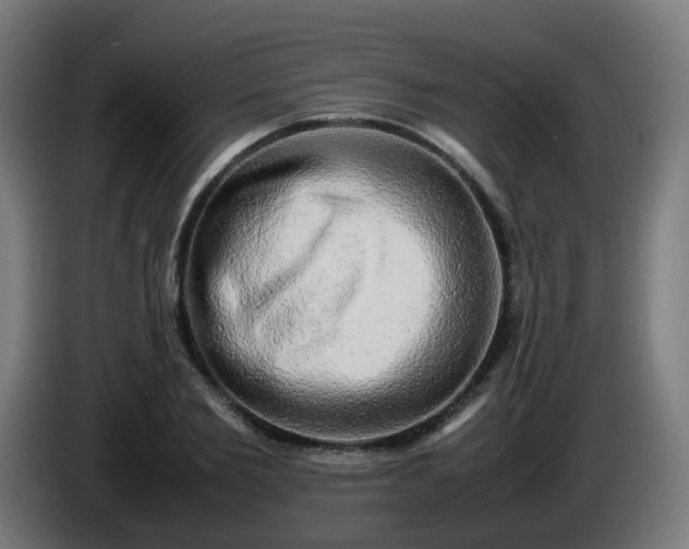 X0000086010885200703301008