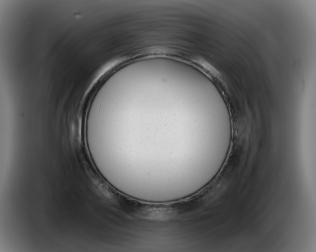 X0000086010886200703301008