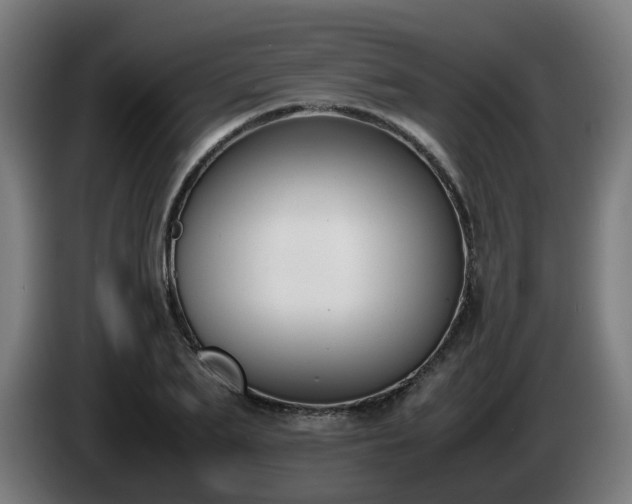 X0000086010887200703301008