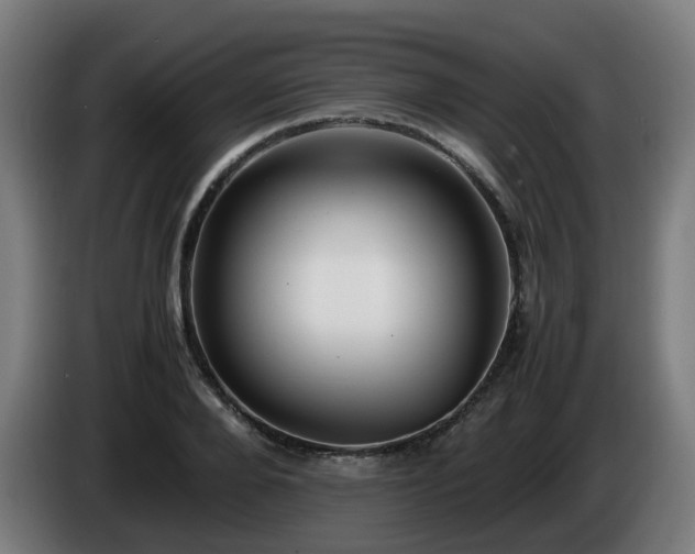 X0000086010888200703301008