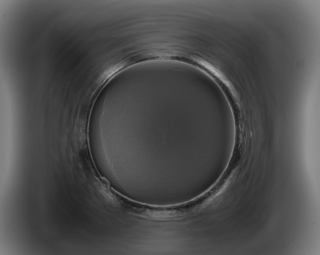 X0000086010889200703301008