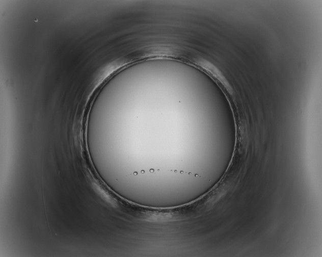 X0000086010890200703301008