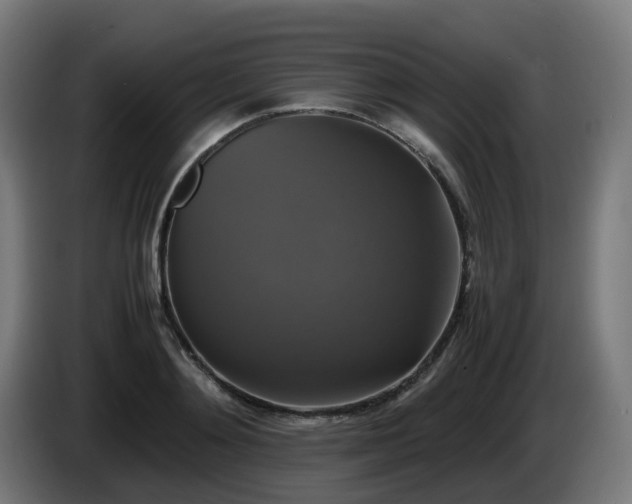X0000086010892200703301008