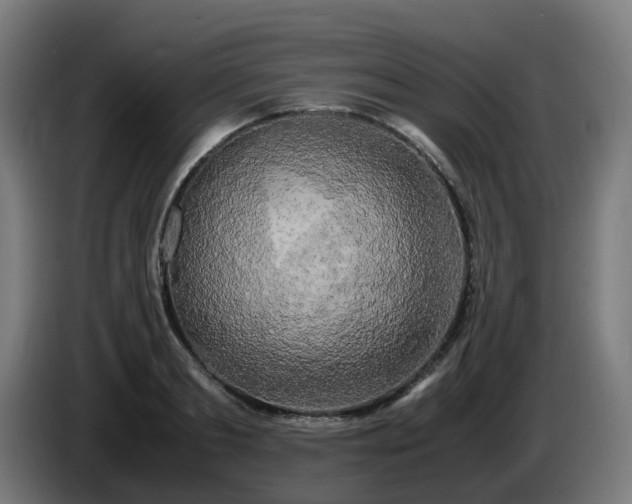 X0000086010893200703301008