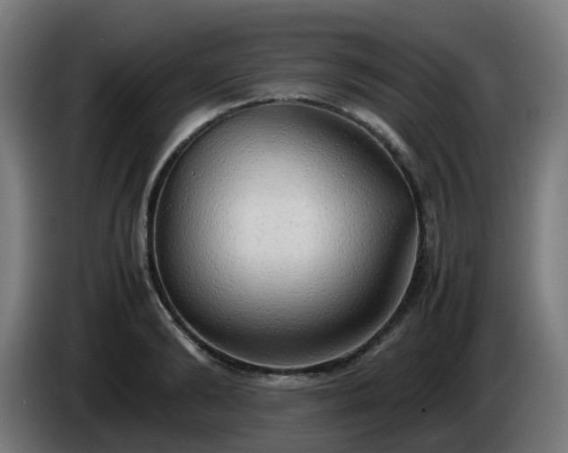 X0000086010894200703301008