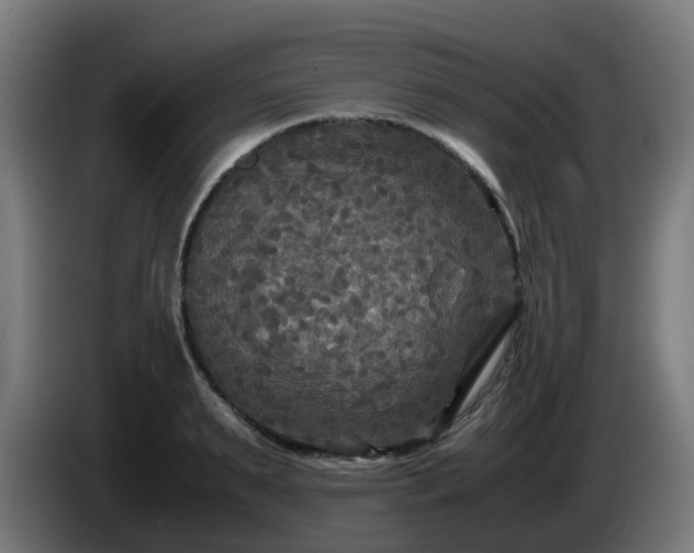 X0000086010895200703301008