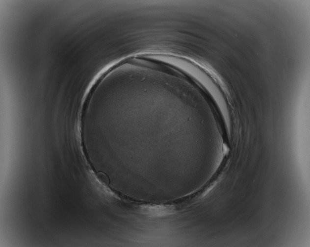 X0000086010896200703301008