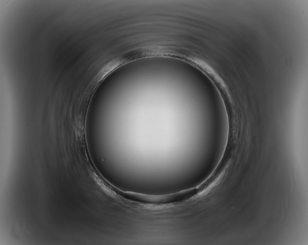 X0000086010897200703301008