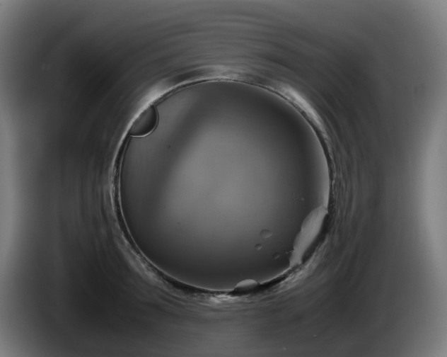 X0000086010899200703301007