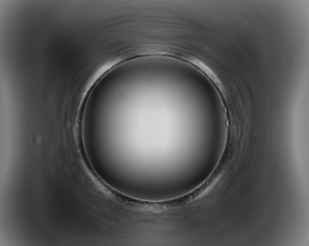 X0000086010901200703301007