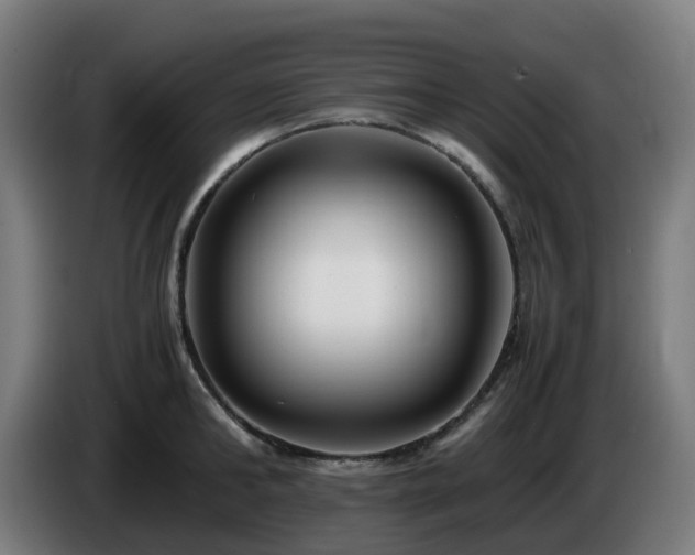 X0000086010902200703301007