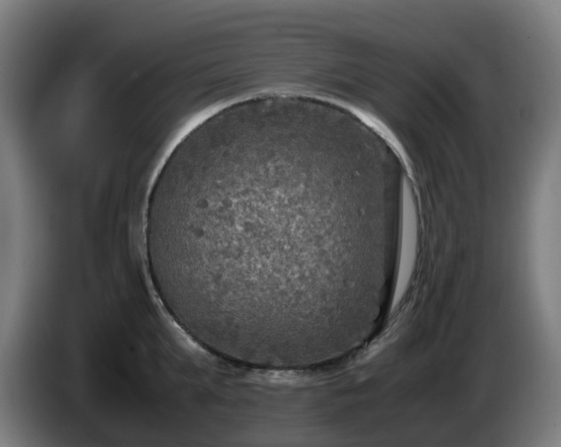 X0000086010903200703301007