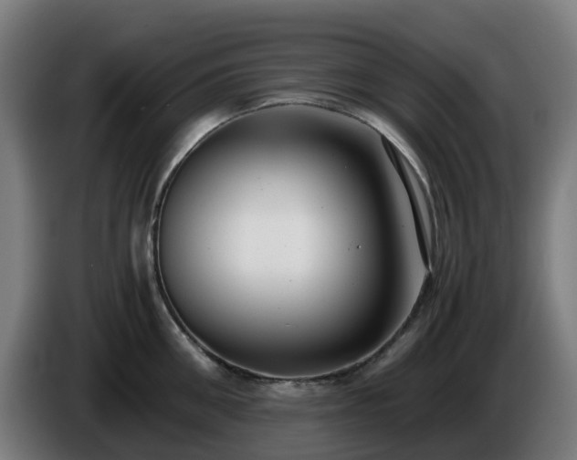 X0000086010906200703301007