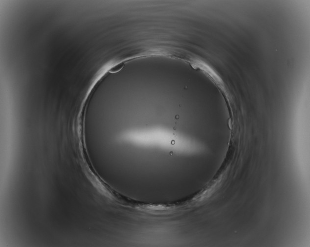 X0000086010907200703301007