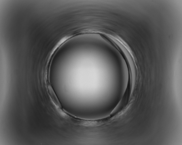 X0000086010909200703301007