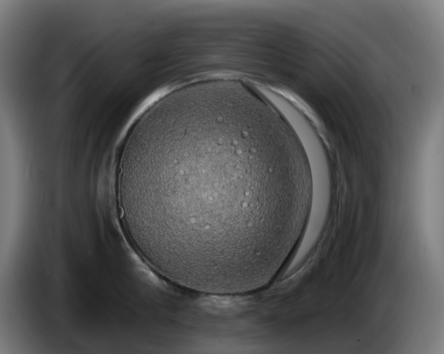 X0000086010910200703301007