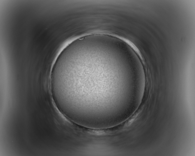 X0000086010911200703301007