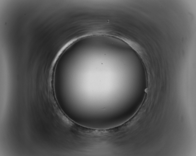 X0000086010912200703301007