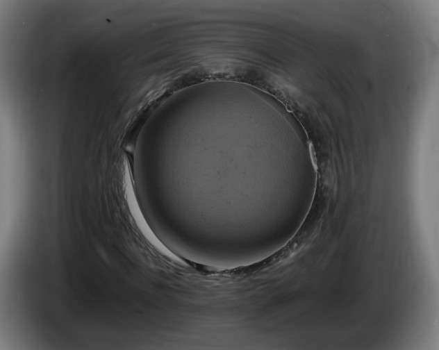 X0000086010916200703301007