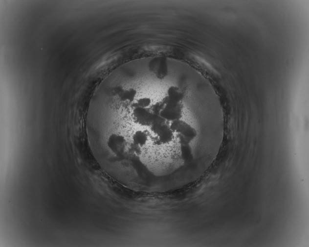 X0000086010917200703301007