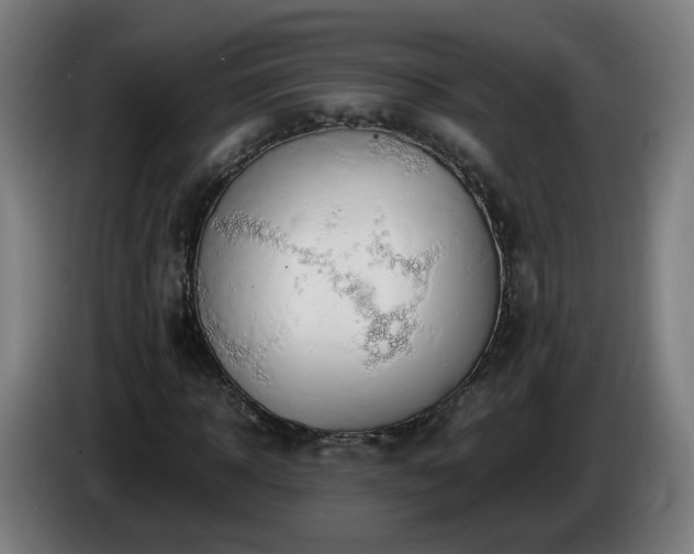 X0000086010918200703301007