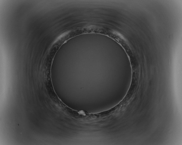 X0000086010919200703301007