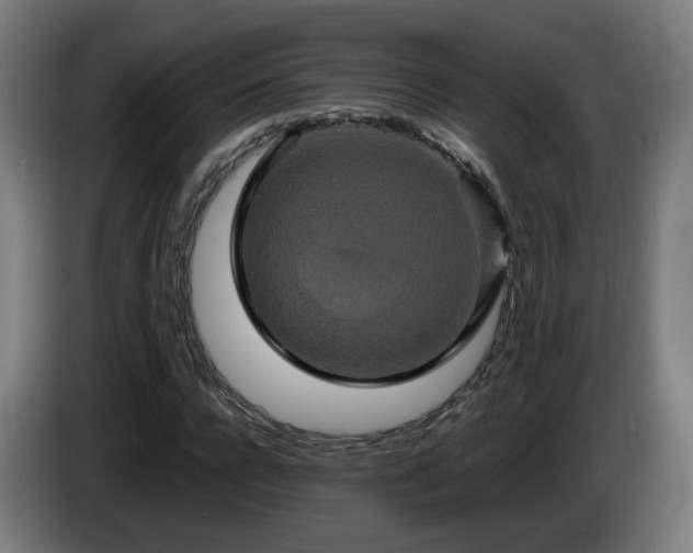 X0000086010920200703301007