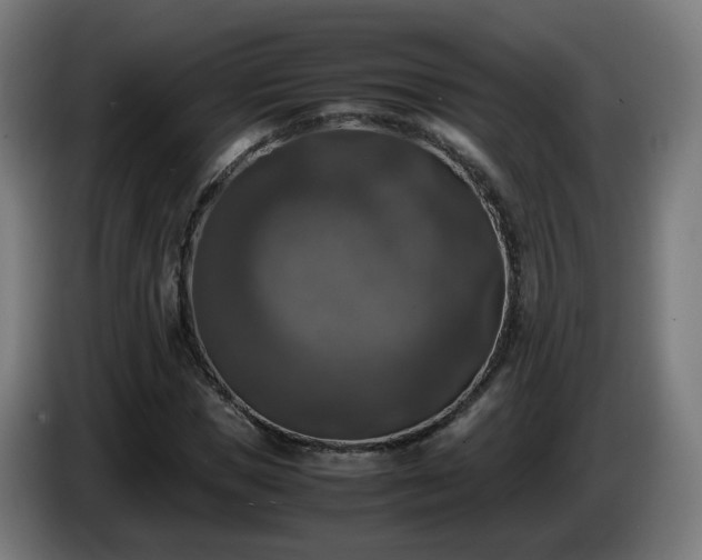 X0000086010921200703301007