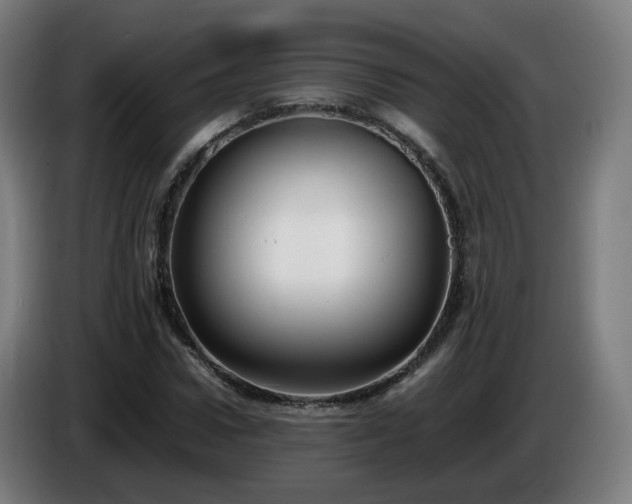 X0000086010922200703301007