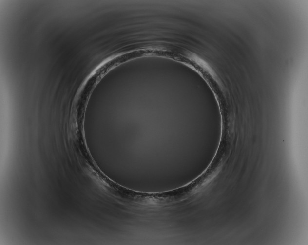 X0000086010923200703301007