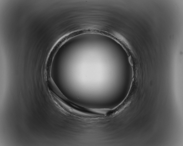 X0000086010924200703301007