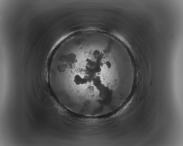 X0000086010925200703301007