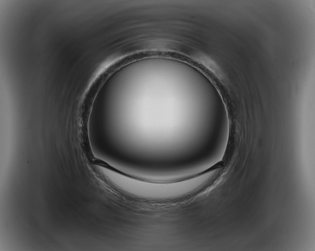 X0000086010926200703301007