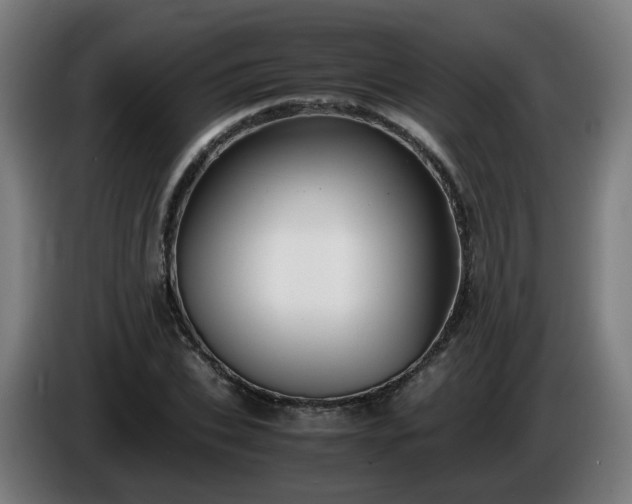 X0000086010927200703301007