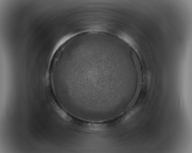 X0000086010928200703301007