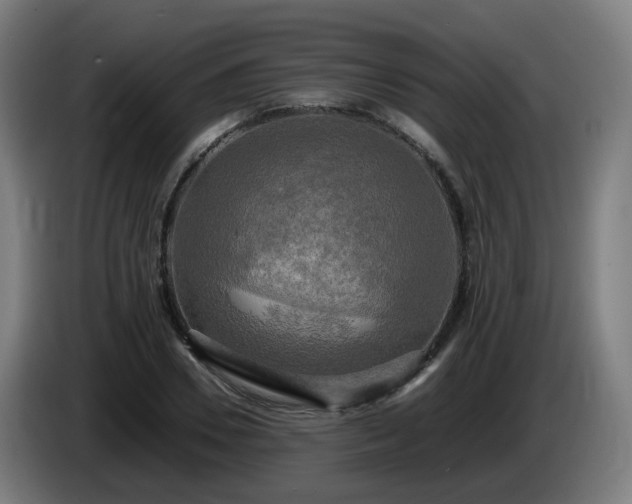 X0000086010930200703301007