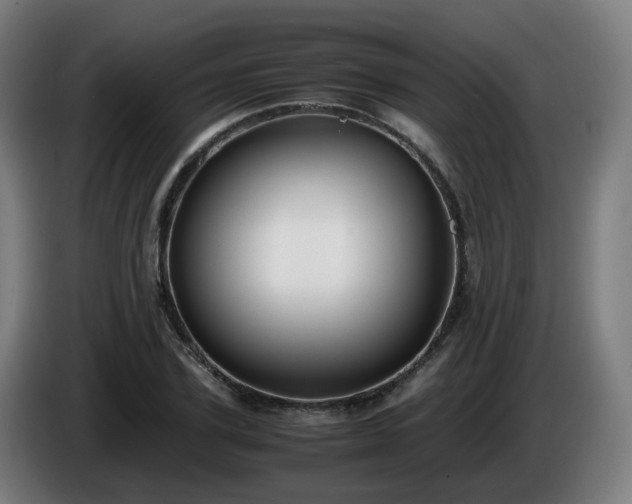 X0000086010931200703301007