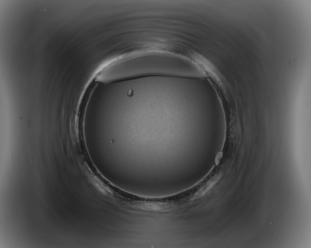 X0000086010932200703301007