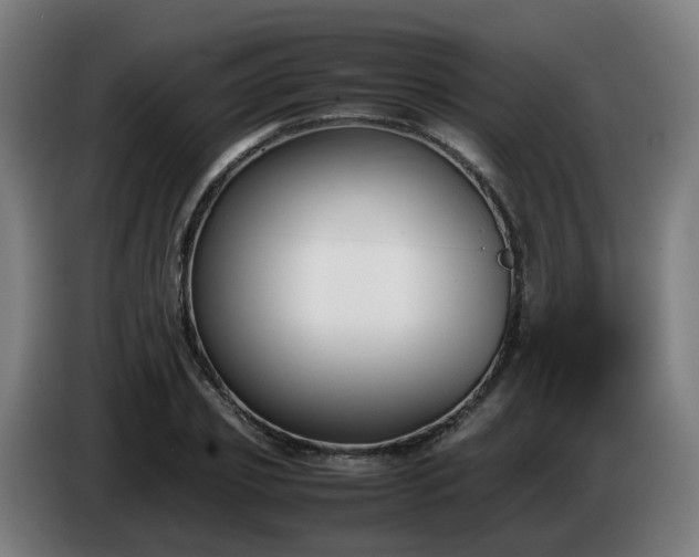 X0000086010933200703301007