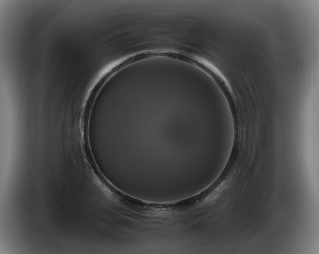 X0000086010935200703301007